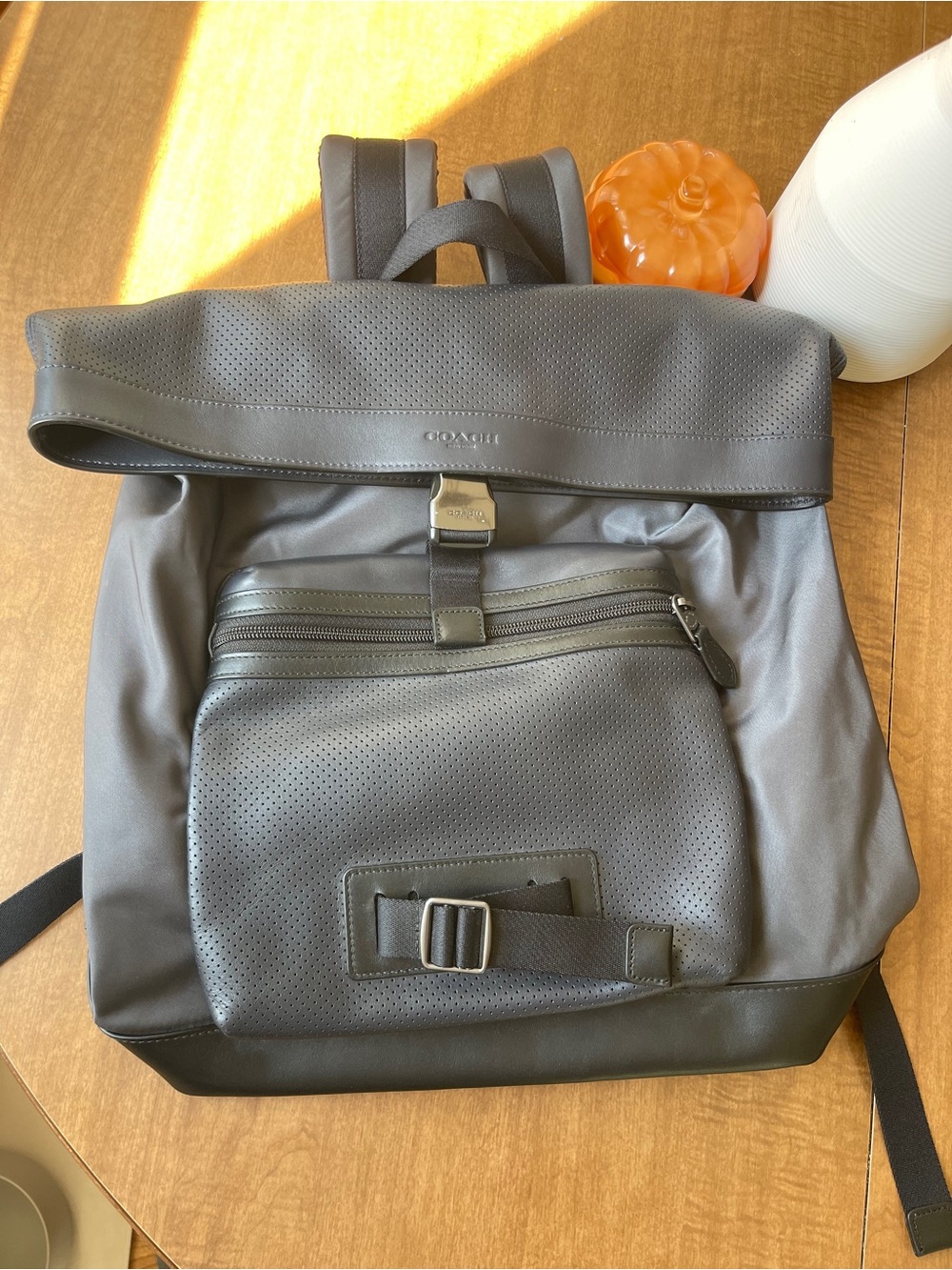 Coach Terrain Explorer Trek Backpack navy
